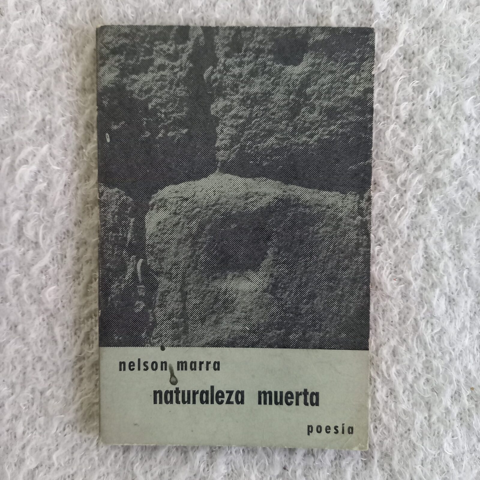 Naturaleza muerta. Nelson Marra
