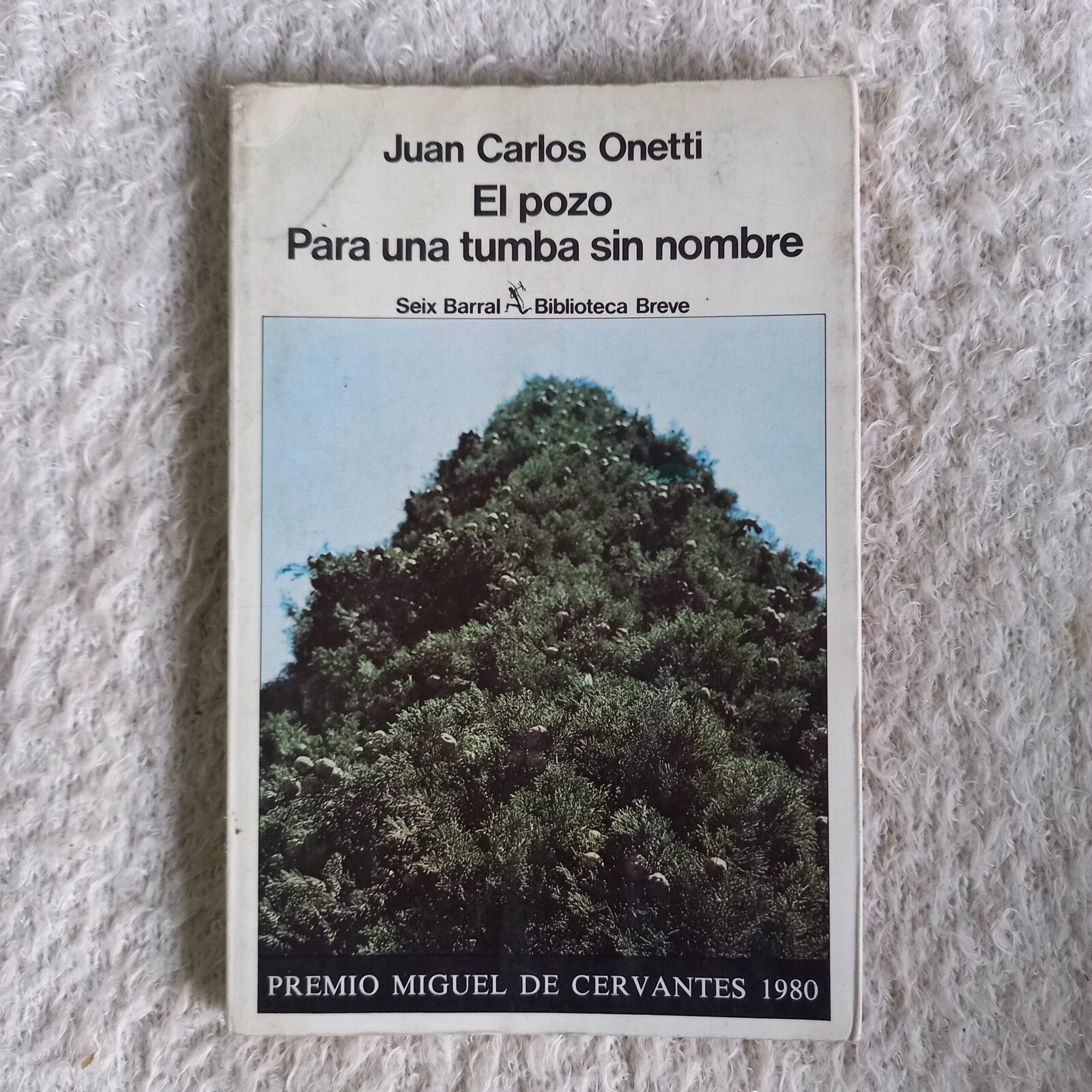 El pozo. Para una tumba sin nombre. Juan Carlos Onetti