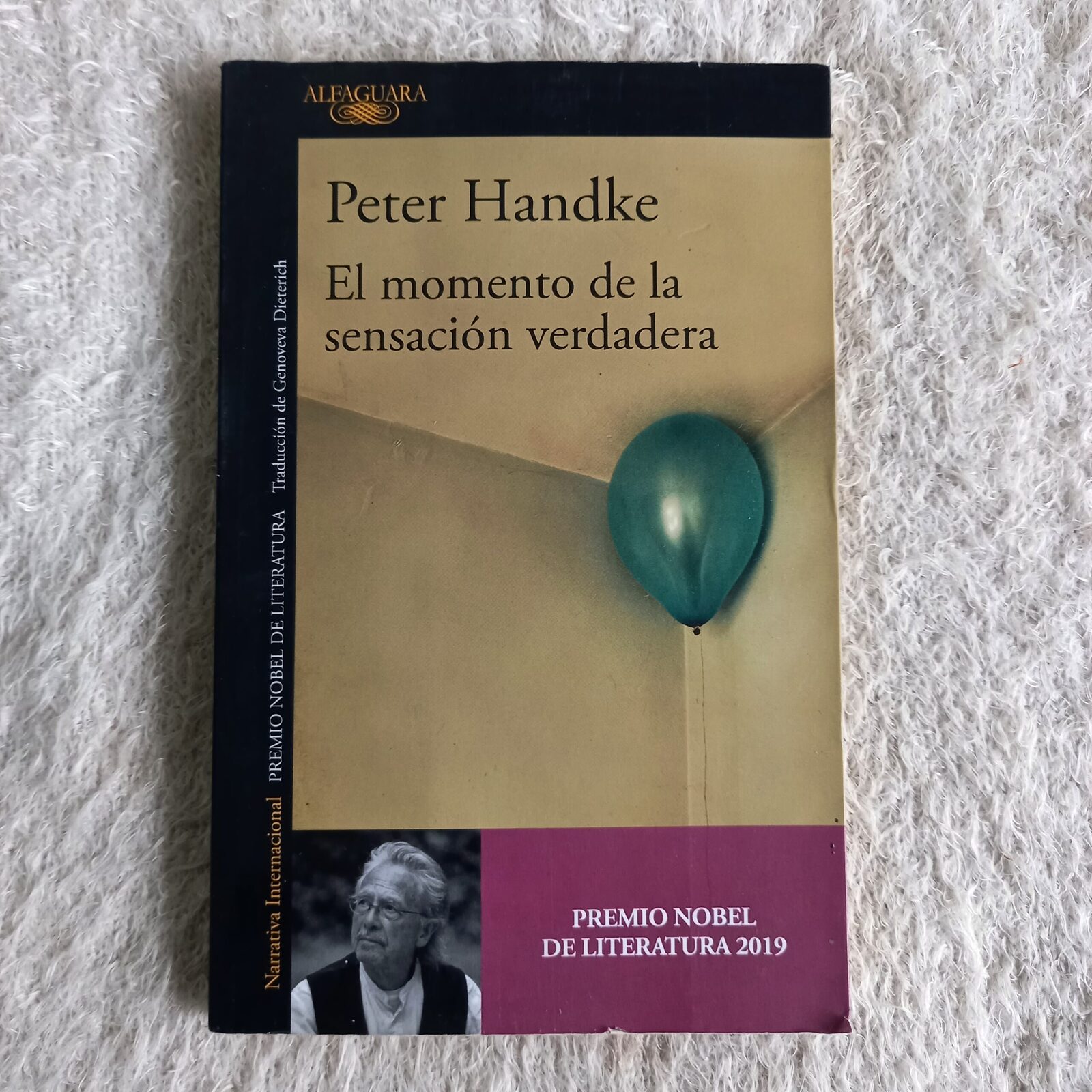 El momento de la sensación verdadera. Peter Handke