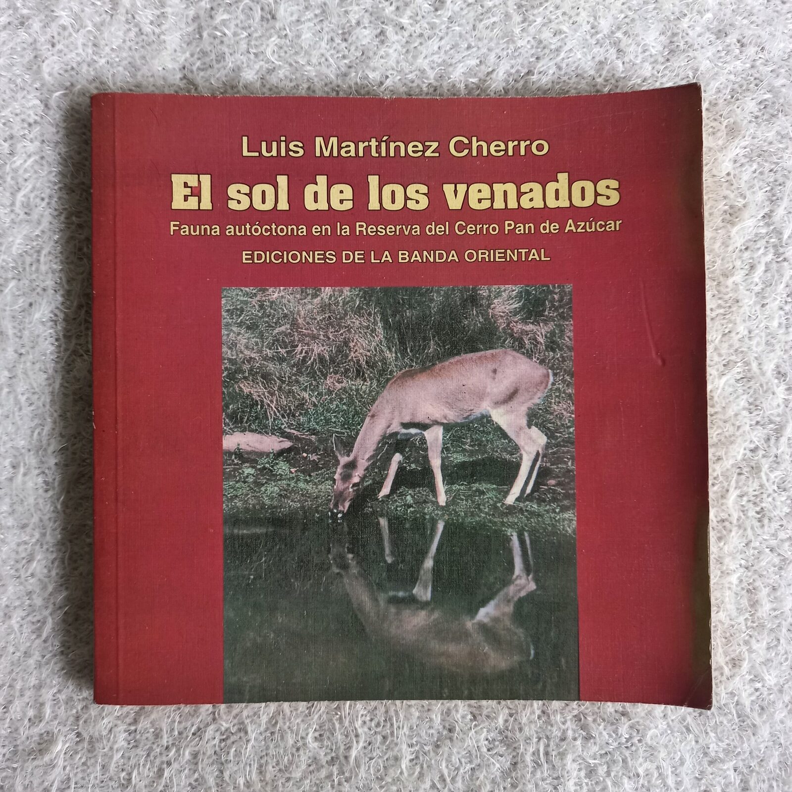 El sol de los venados. Fauna autóctona en la Reserva del Cerro Pan de Azúcar. Luis Martínez Cherro