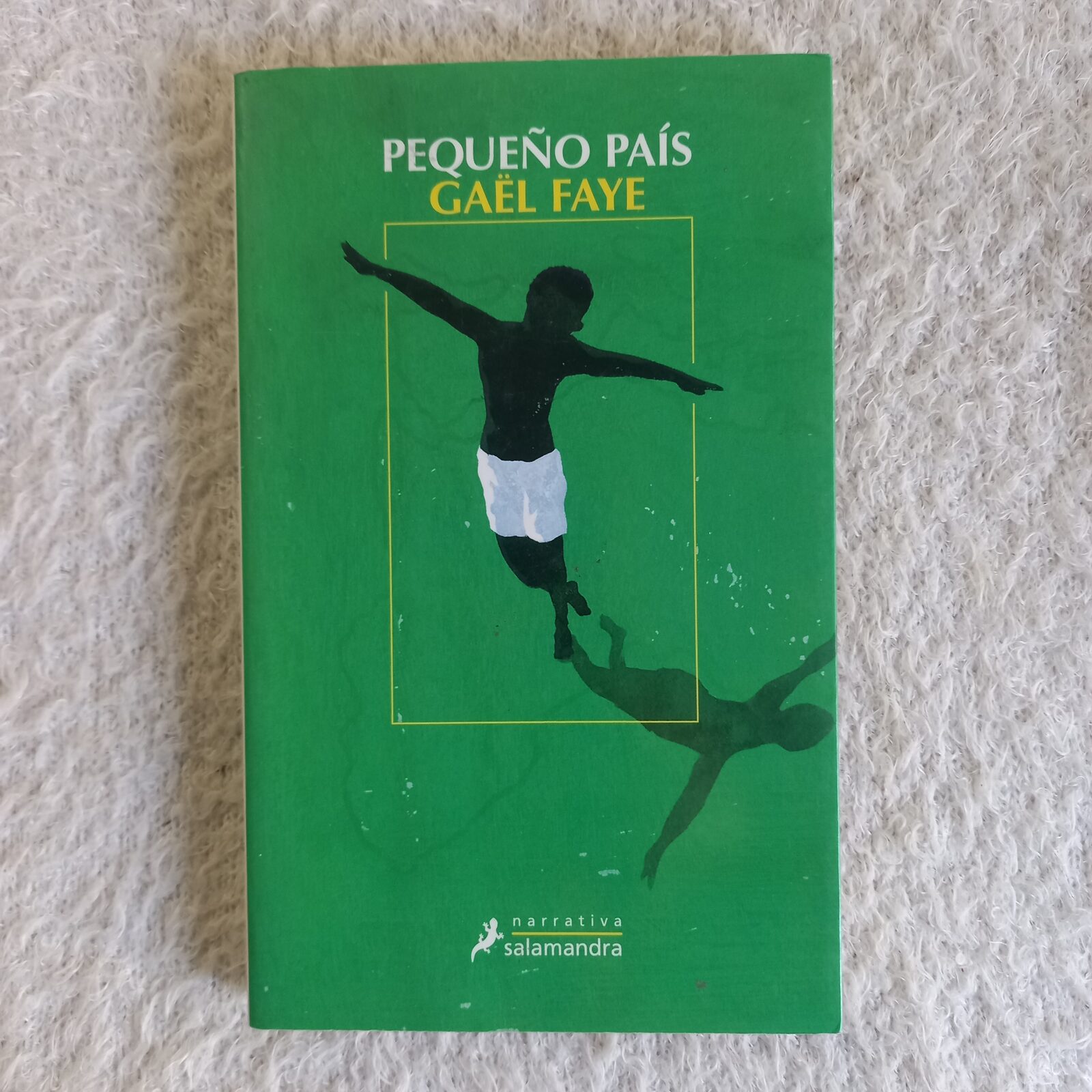 Pequeño país. Gäel Faye