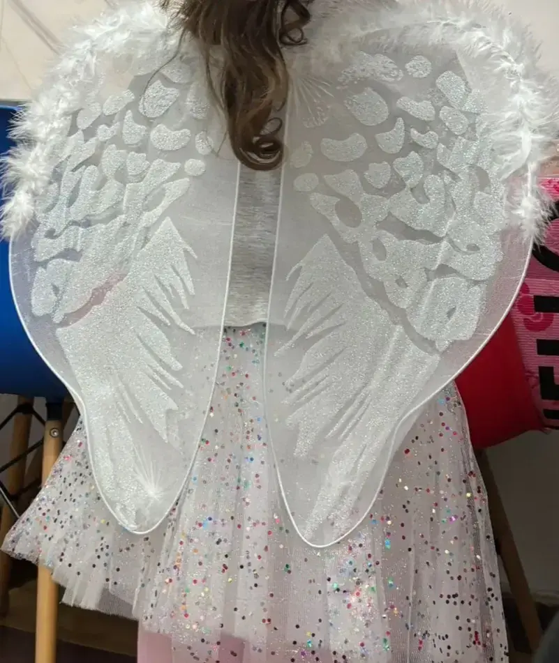 Disfraz angelita alas y pollera ángel/hadaniña