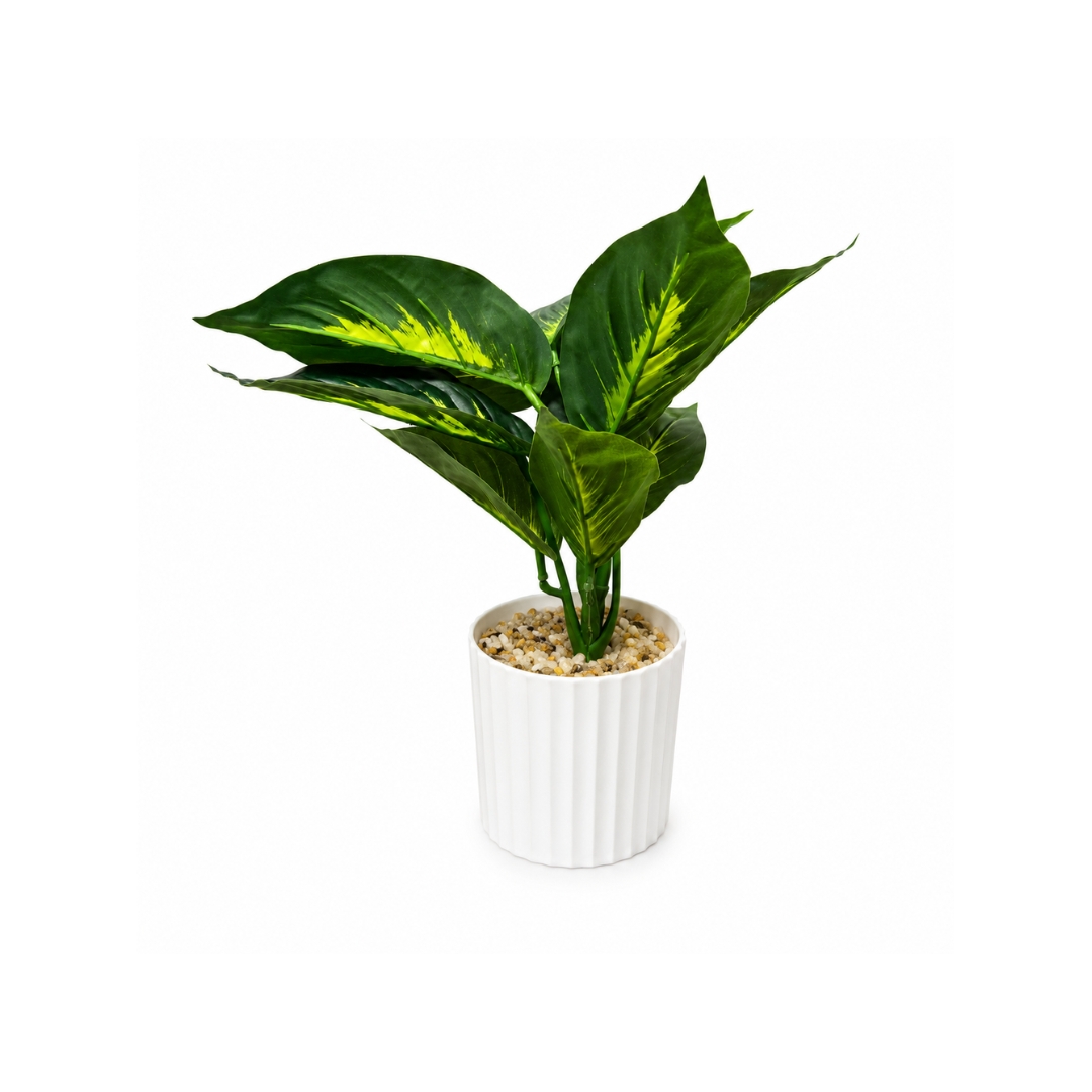 Maceta con planta