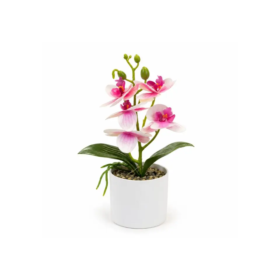 Planta decorativa