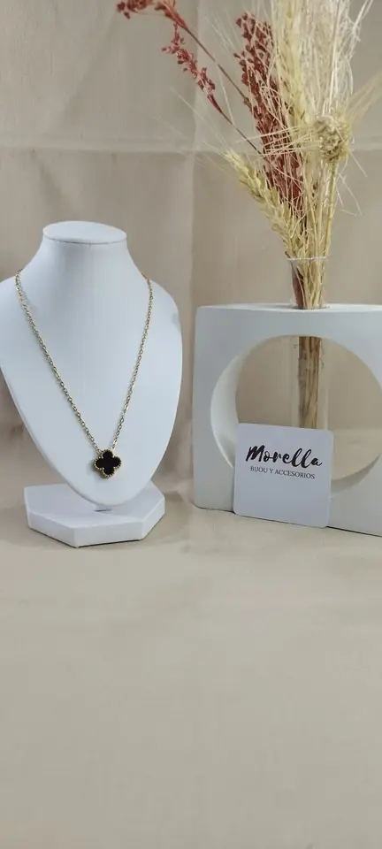 Cadena y dije trebol negro