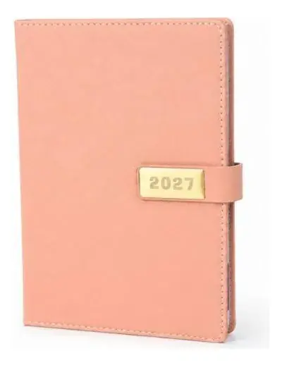 Agenda Ejecutiva 2027 Diaria Color Salmon