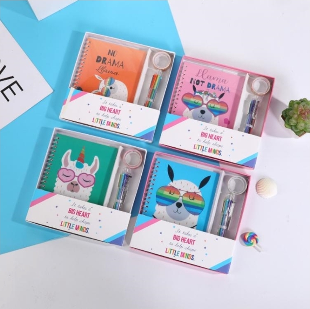 Set cuaderno /cinta y boligrafo Llamas