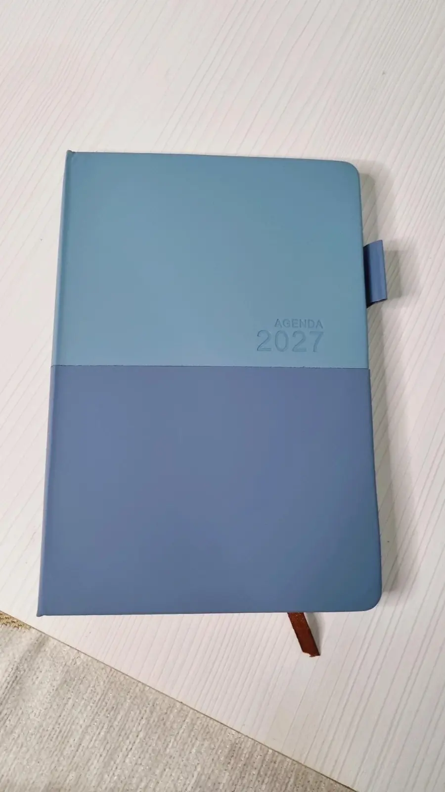 Agenda SABONIS 2027 bicolor