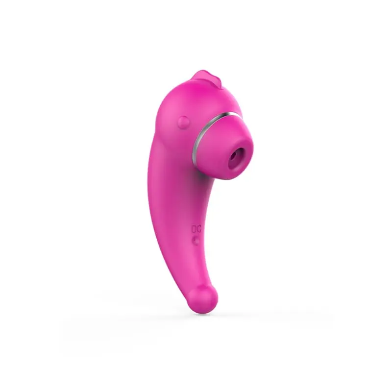 Succionador y Vibrador de Clítoris Recargable 20 Modos