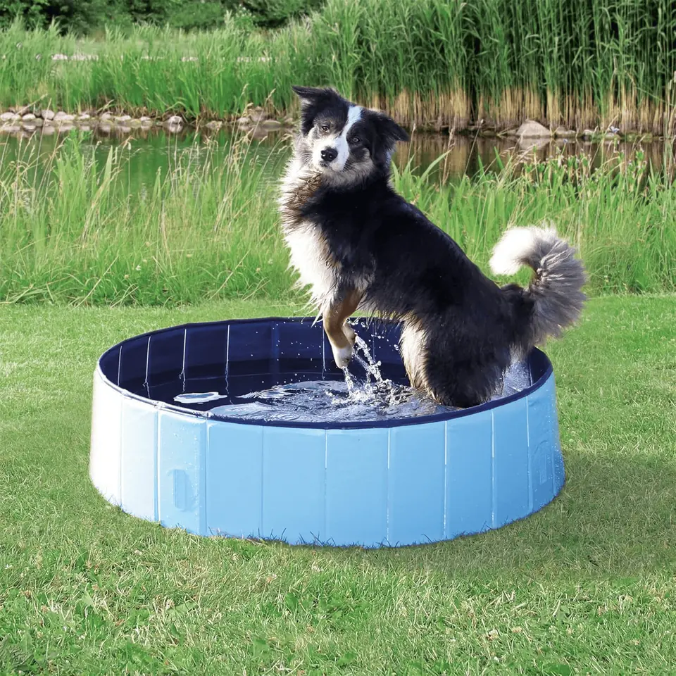 Piscina plegable G. 120x30cm. No precisa inflar (Varios colores)