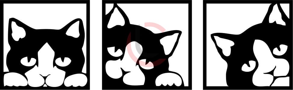 Cuadro tríptico gatos