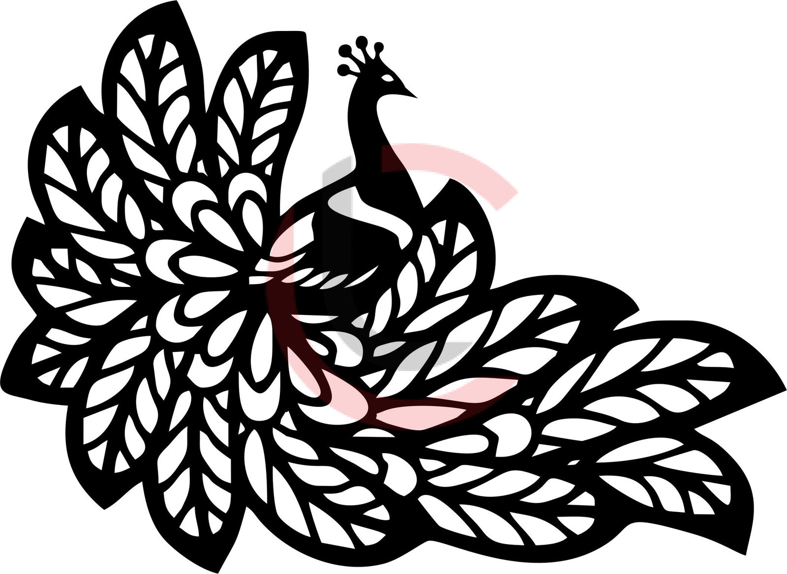 Cuadro pavo real