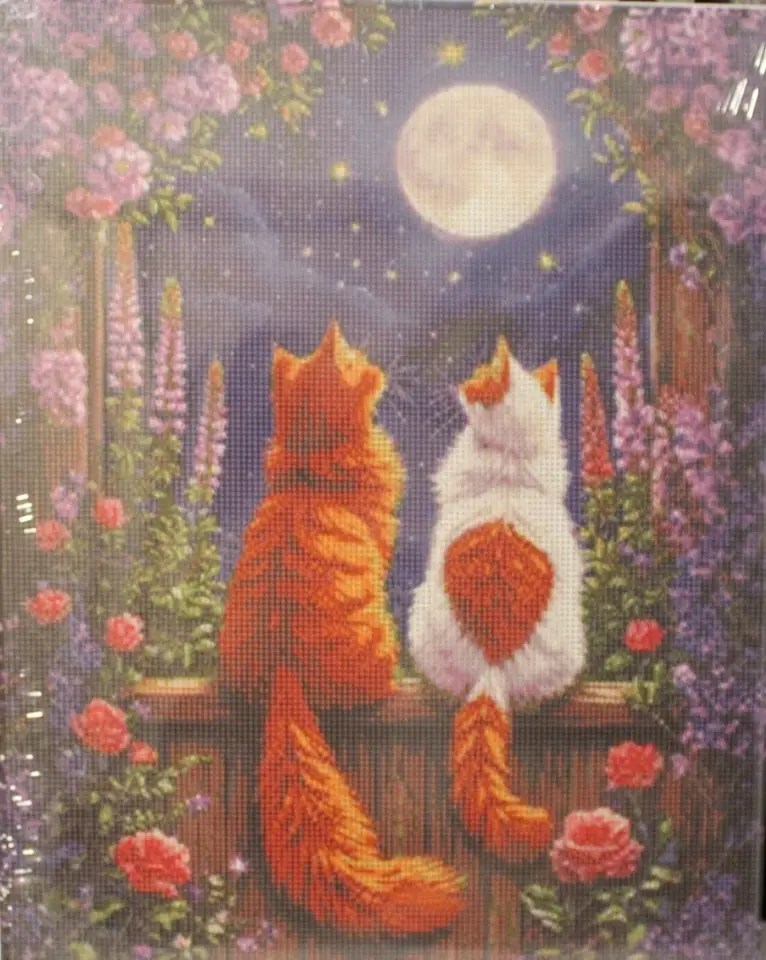 Gatitos viendo la luna
