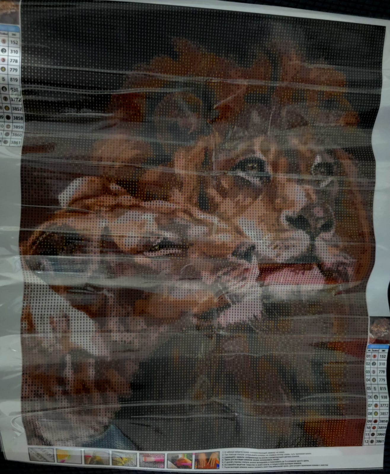 Pareja de tigres, de  40 x 50.