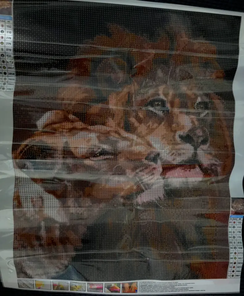 Pareja de tigres, de  40 x 50.