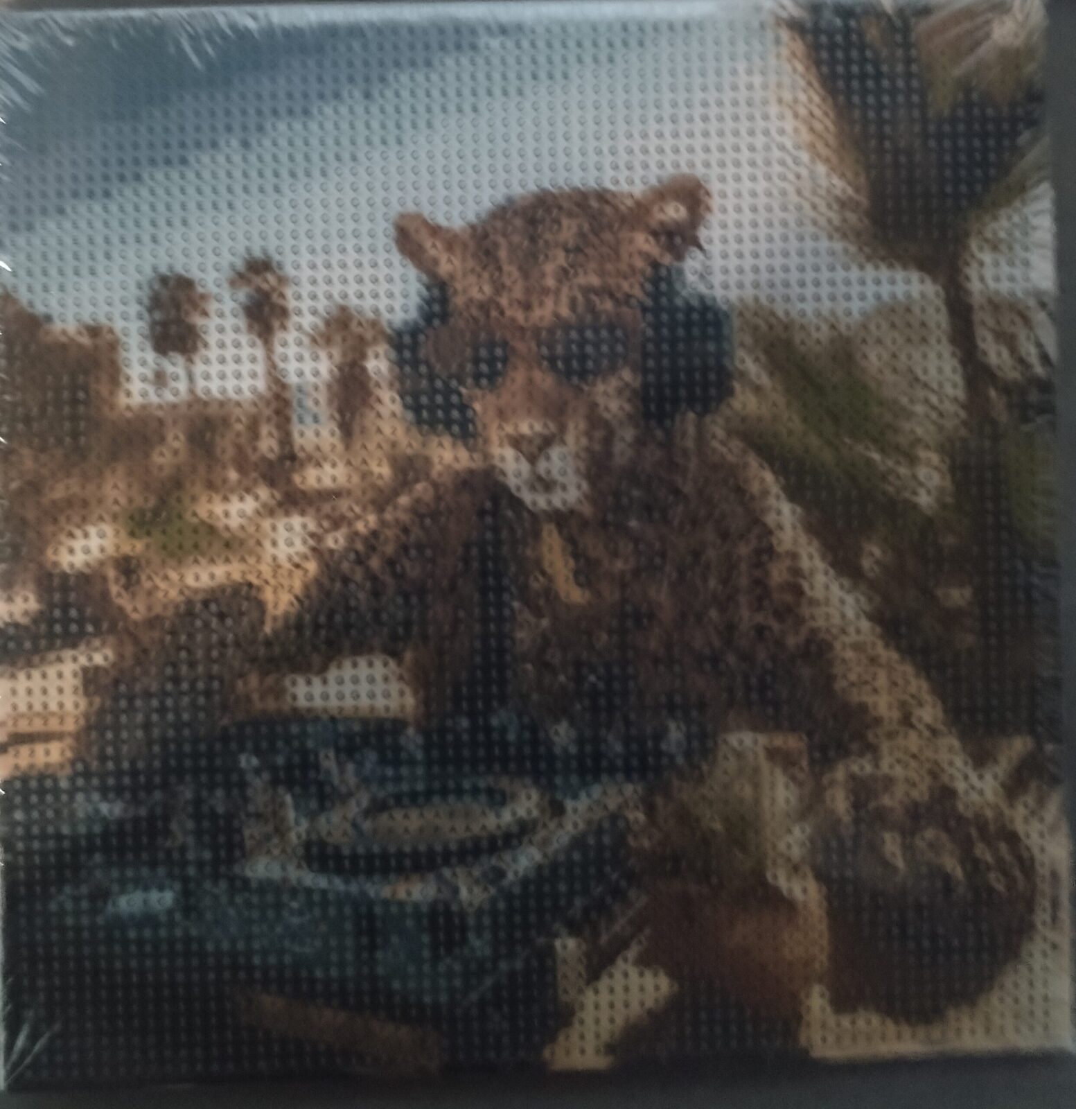 Leopardo DJ.