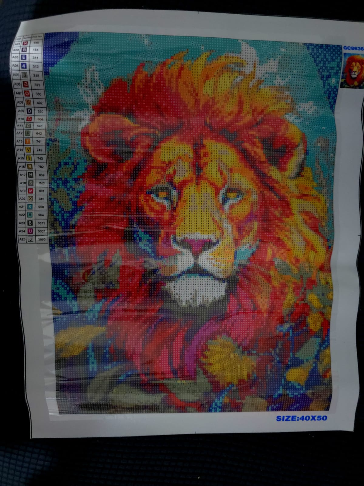 Lienzo León 40x50