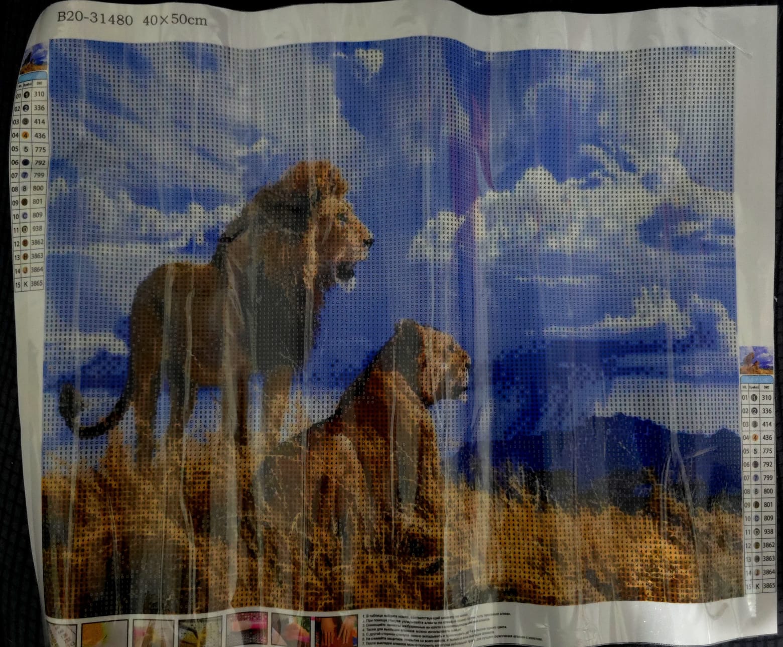 Paisaje con leones de 40 x 50