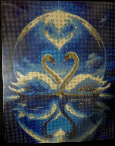 Cisnes de 40 x 50