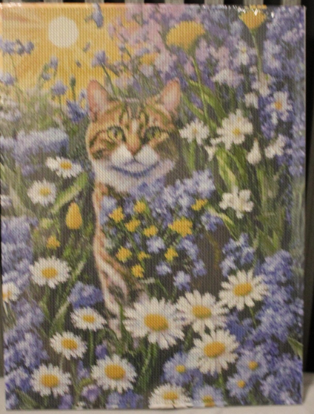 Gato en campo de flores