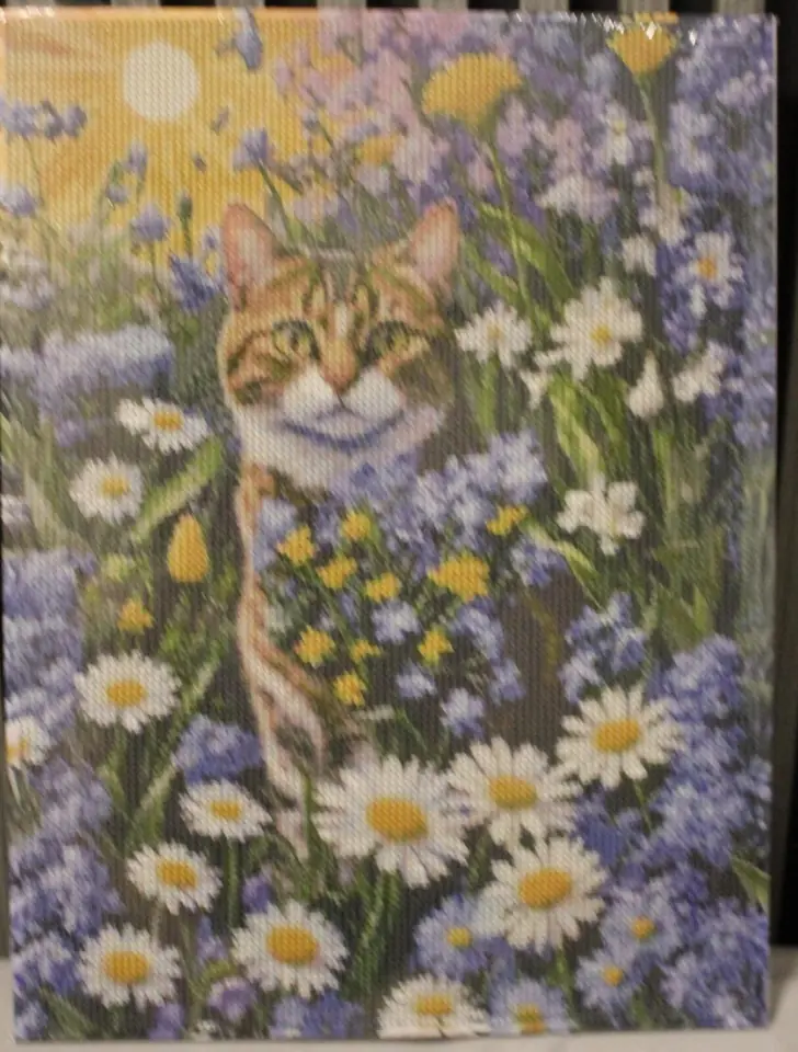 Gato en campo de flores