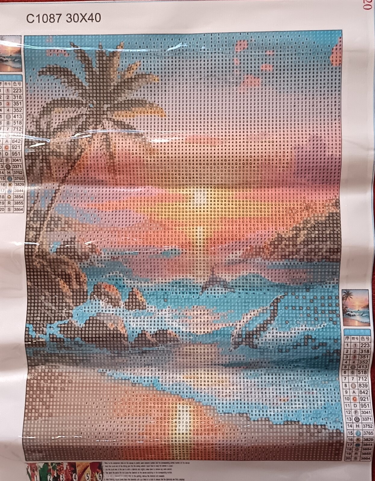 Playa con delfín.