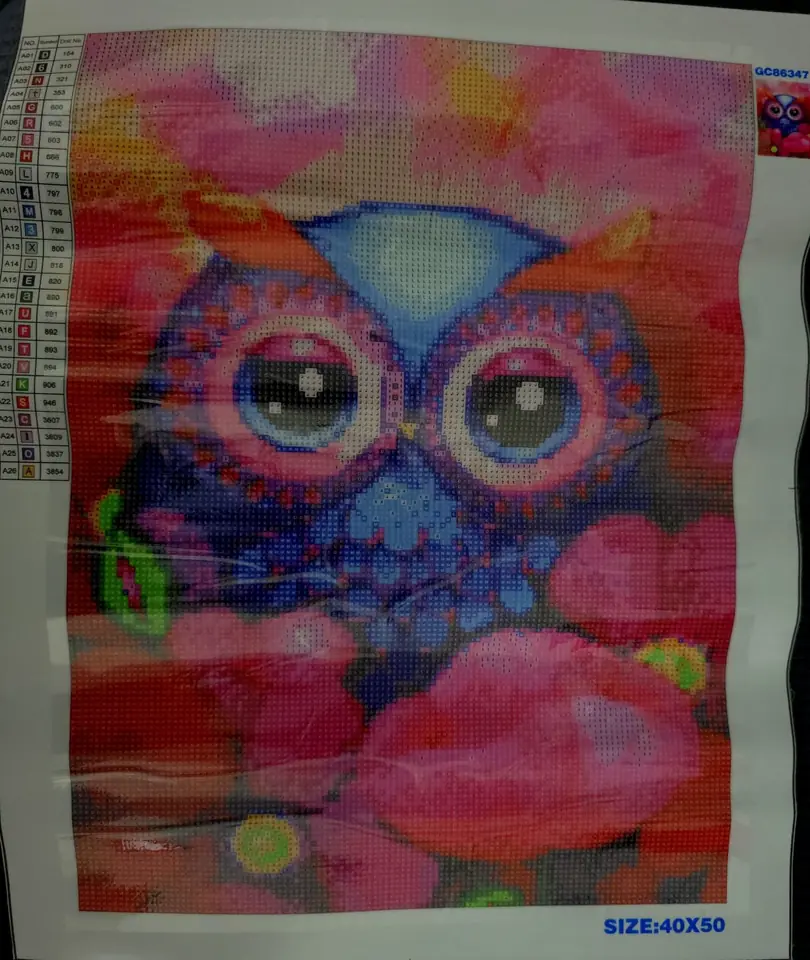 Búho colorido, de 40 x 50.