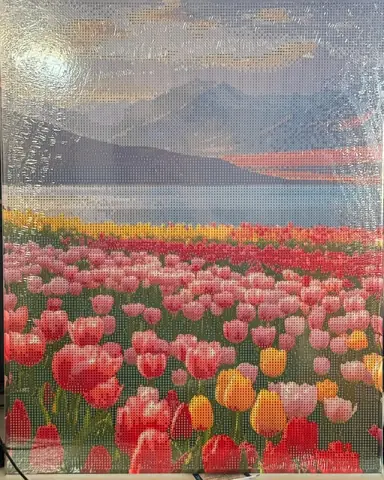CAMPO TULIPANES.