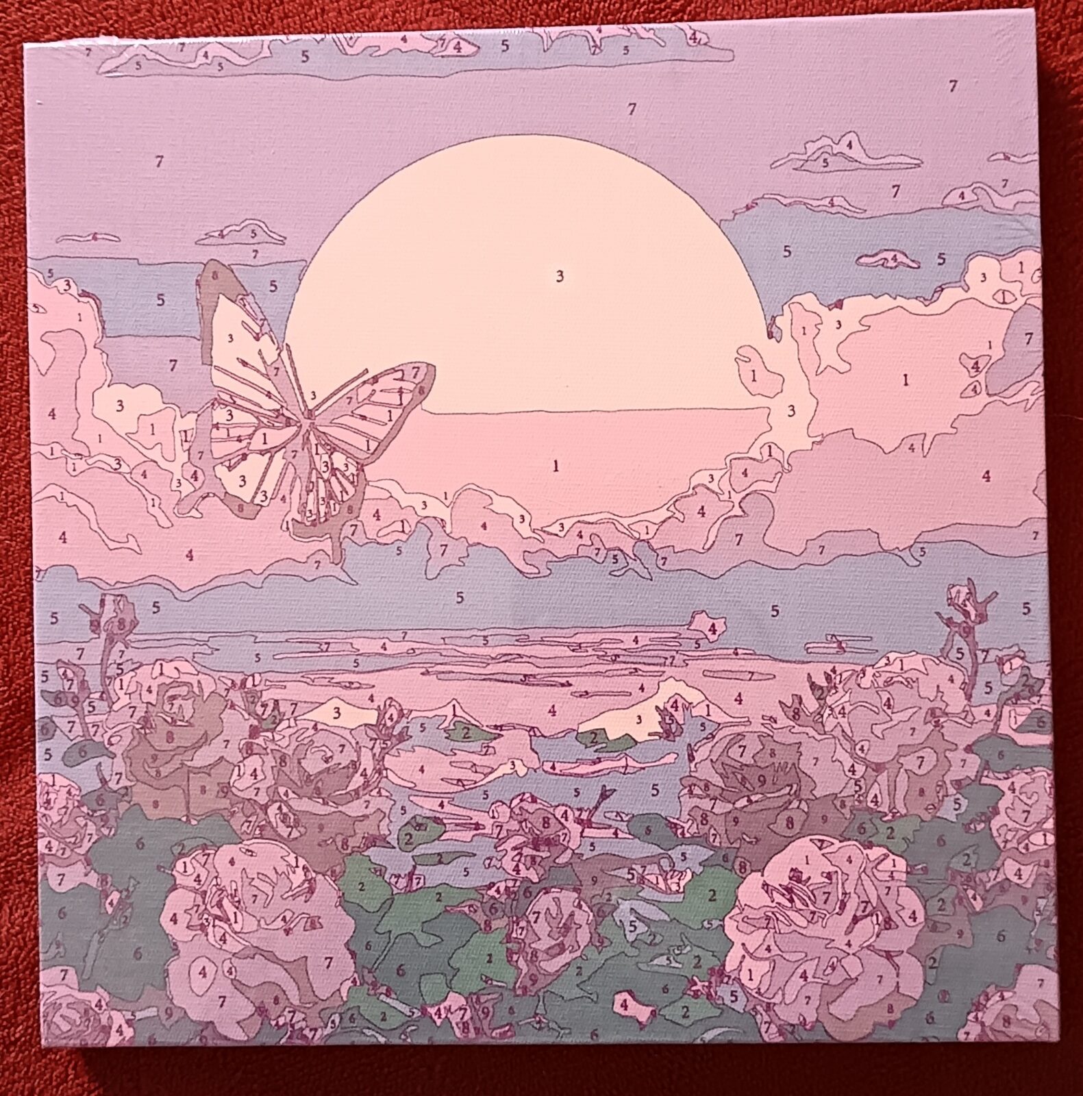 Mariposa en atardecer.