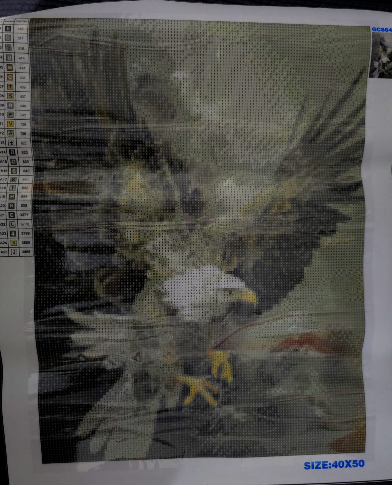 Águila, de 40 x 50.