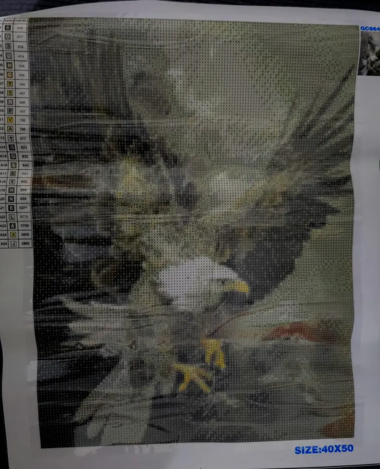 Águila, de 40 x 50.