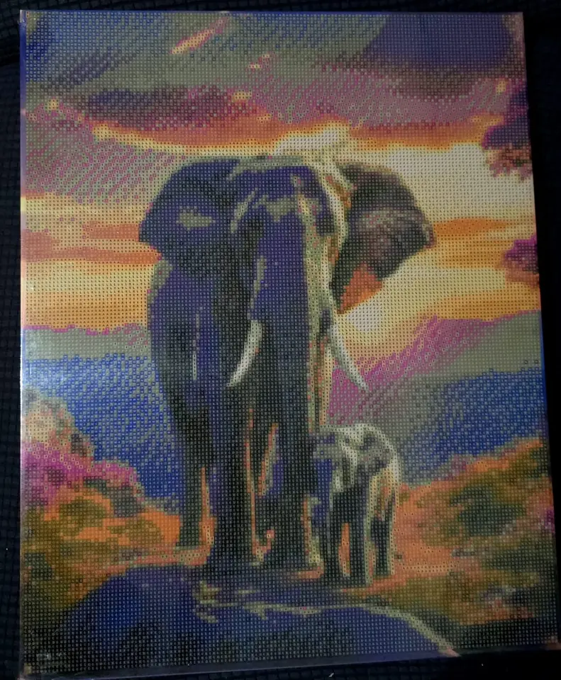 Cuadro elefante 40 x 50