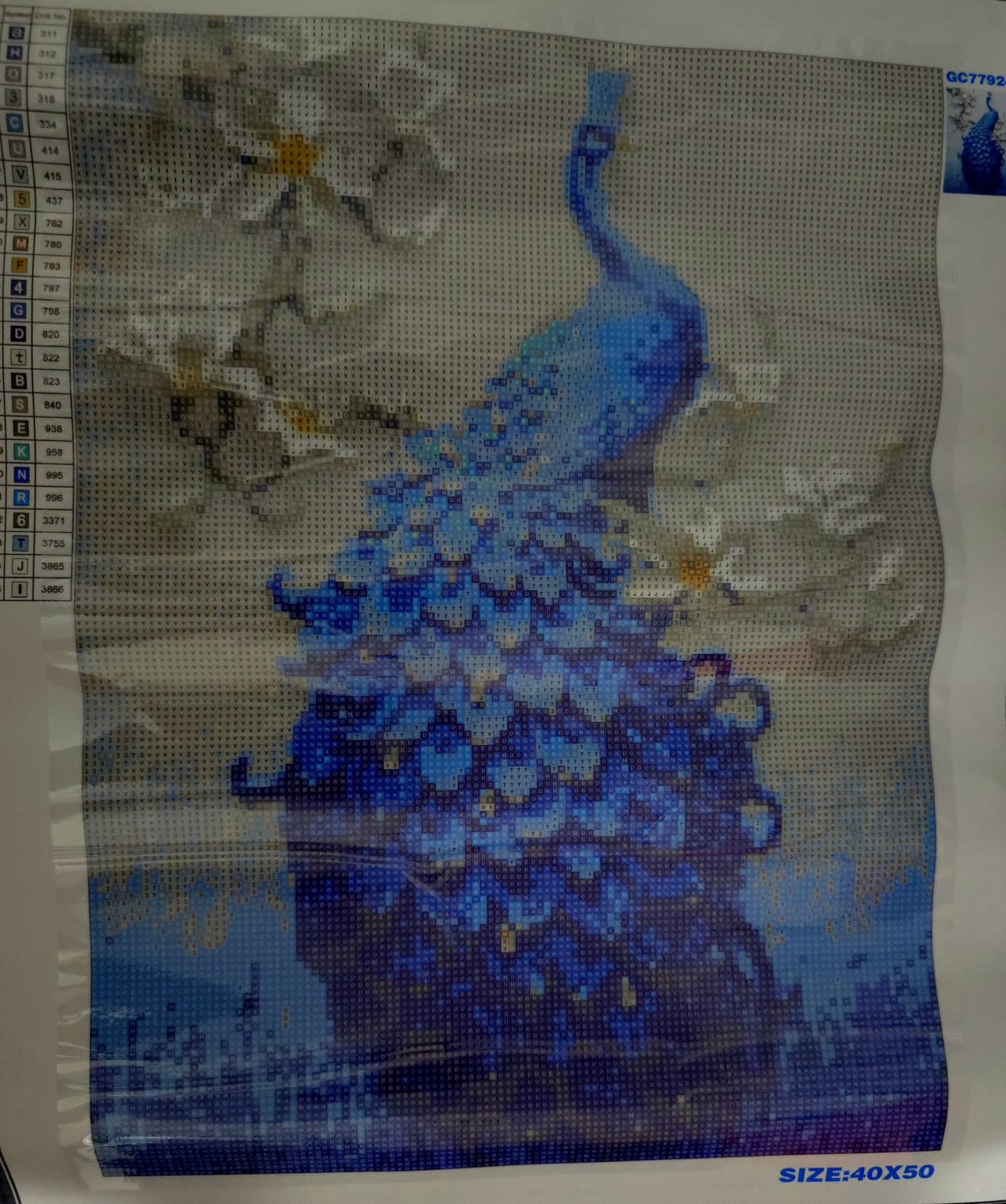 Pavo real de 40 x 50.