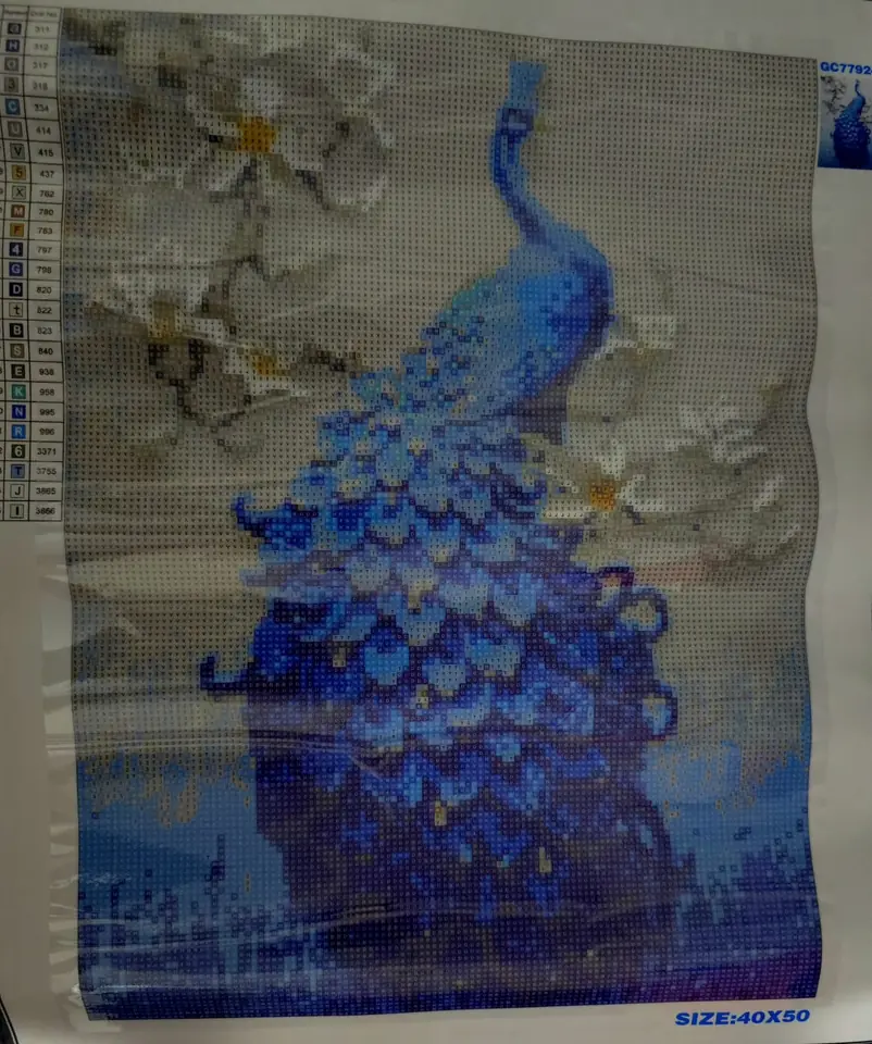 Pavo real de 40 x 50.