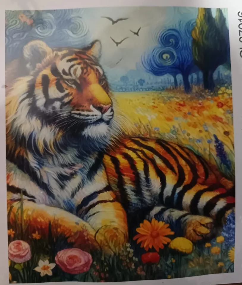 Tigre echado.