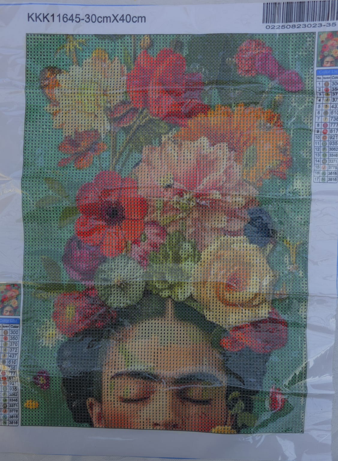 Lienzo Frida Kahlo.