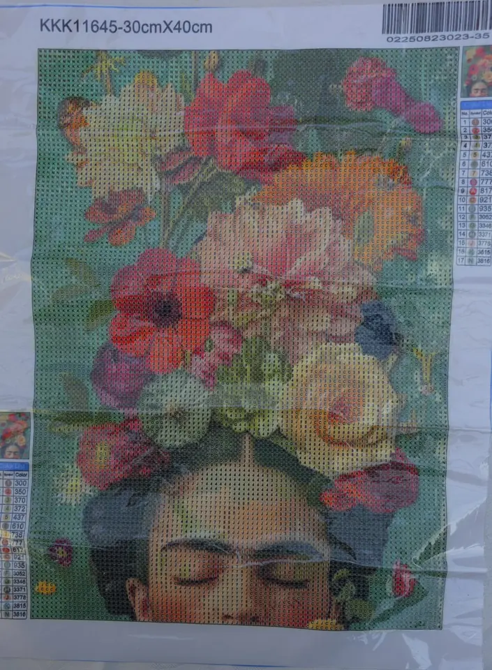 Lienzo Frida Kahlo.