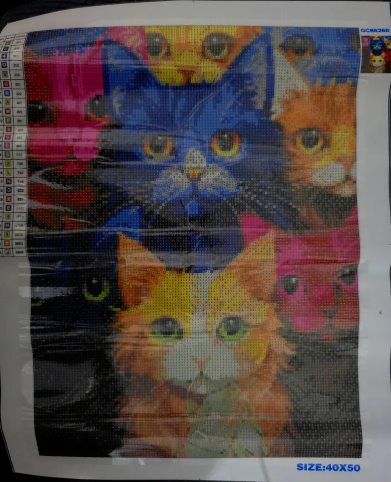 Gatos de muchos colores.