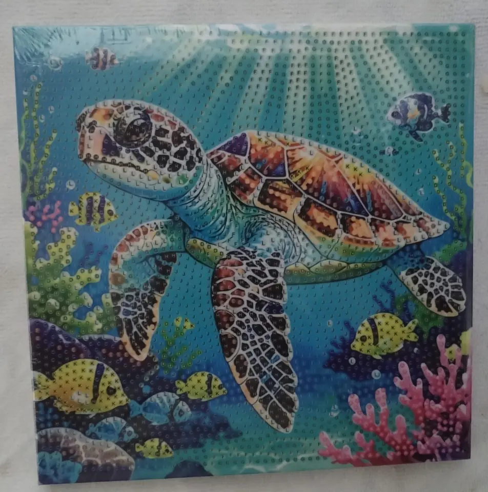 Cuadro tortuga grande.