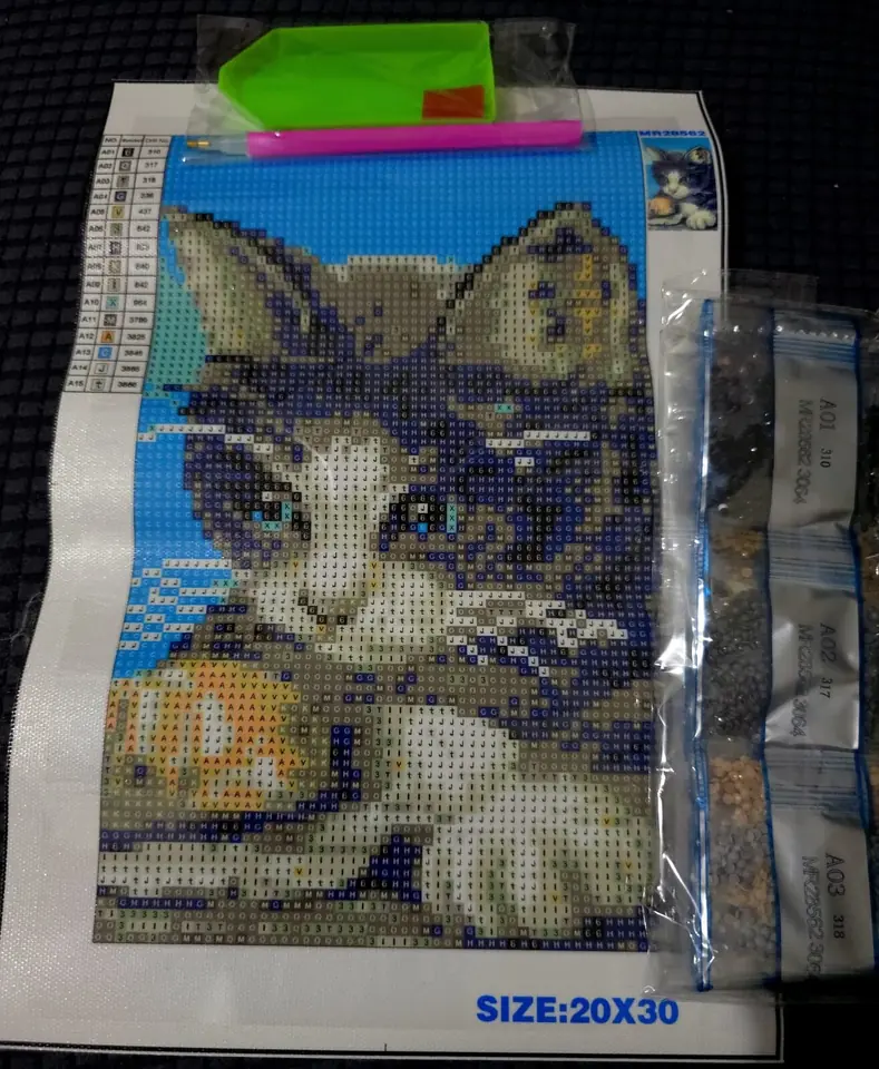 Gato solo. 20 x 30