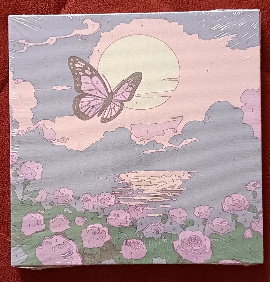 Mariposa amanecer.