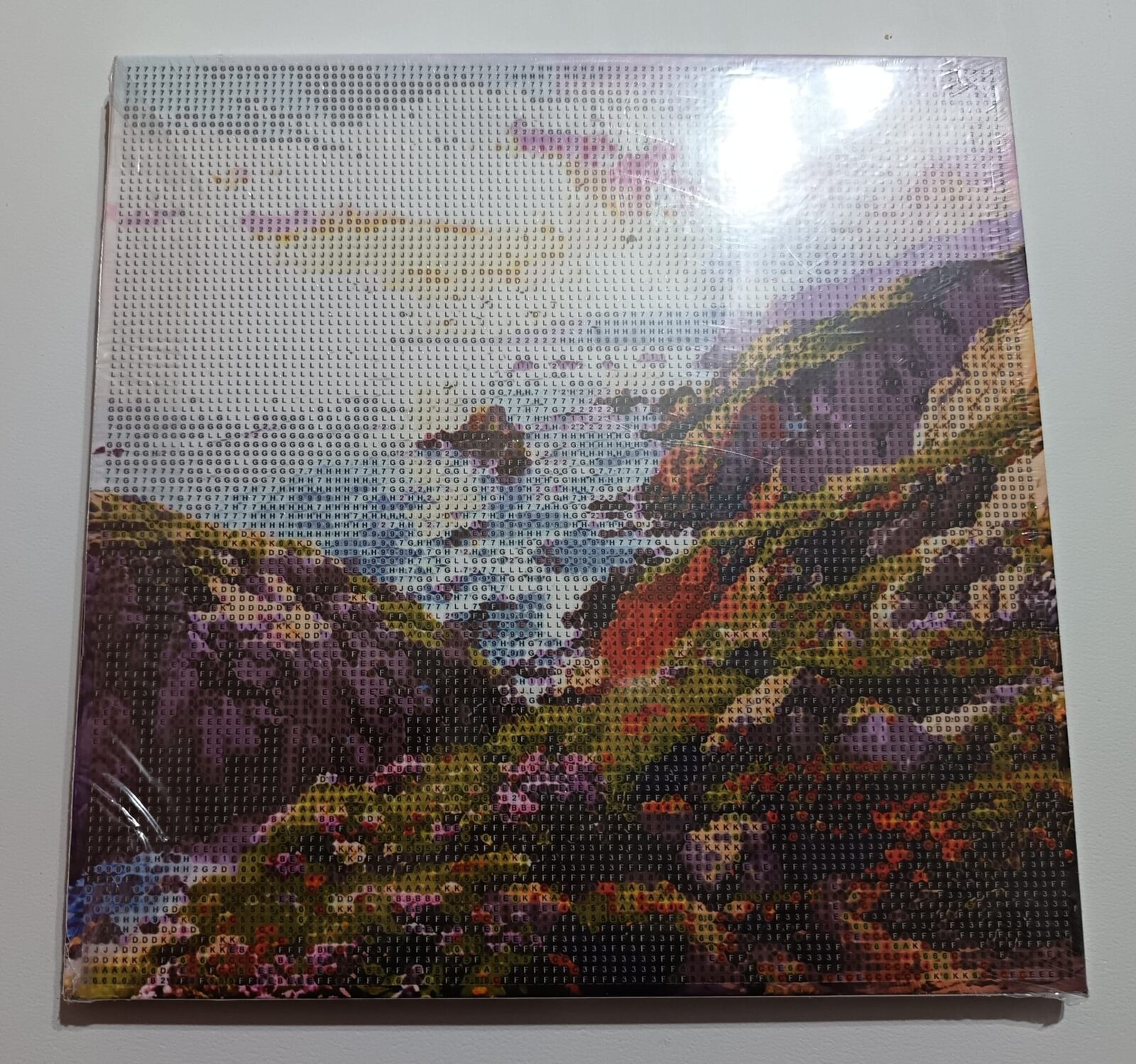 Paisaje con rocas.