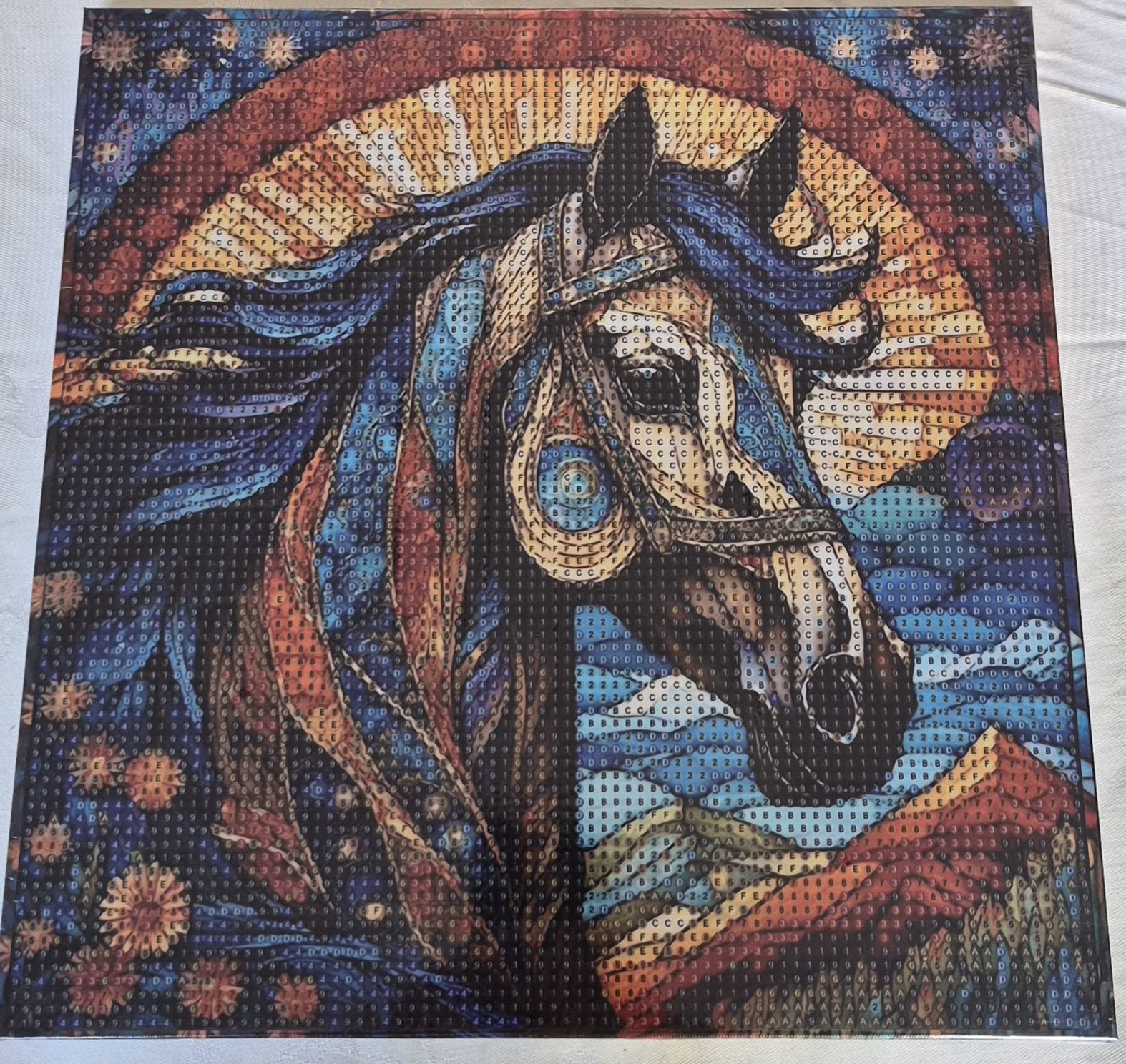 Caballo solo