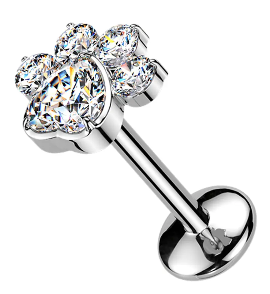 Labret paw 5cz