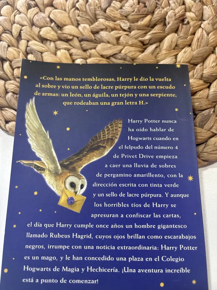 Harry Potter y la piedra filosofal⚡️