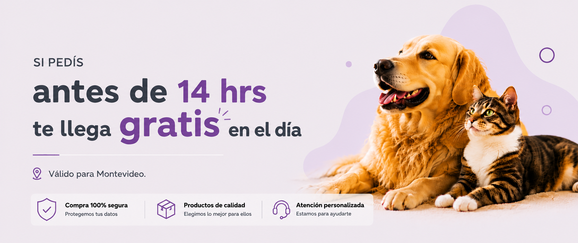 Chapi Mascotas