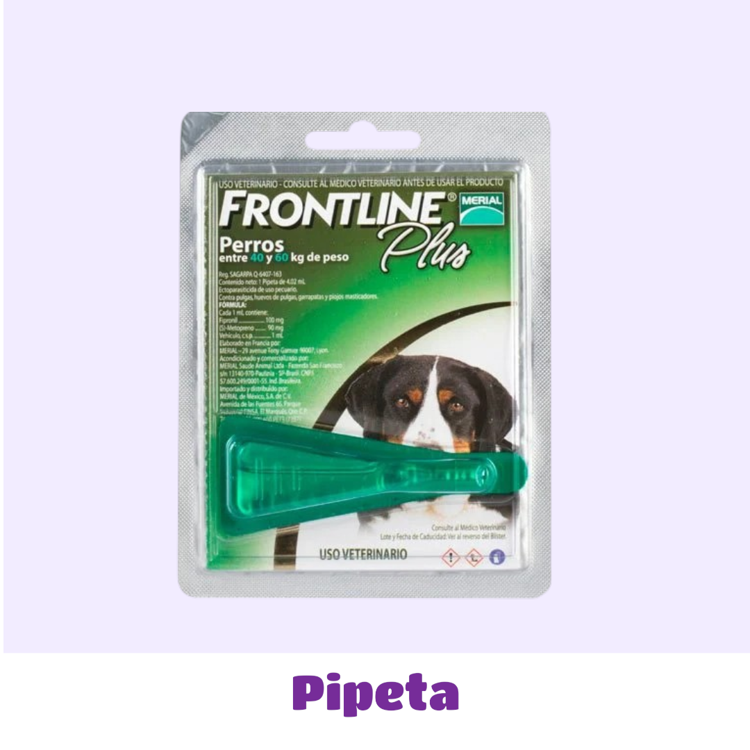 PIPETA 40 A 60 KG