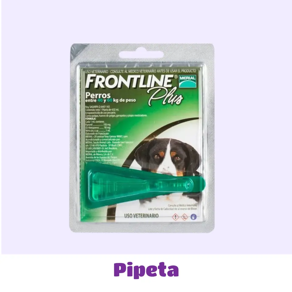 PIPETA 40 A 60 KG