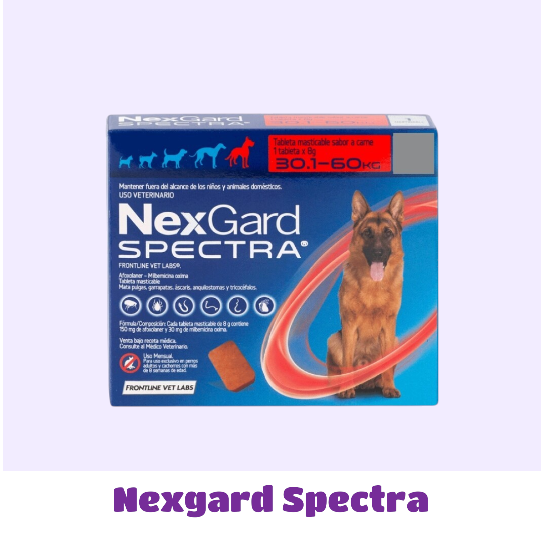 NEXGARD SPECTRA 30 A 60 KG