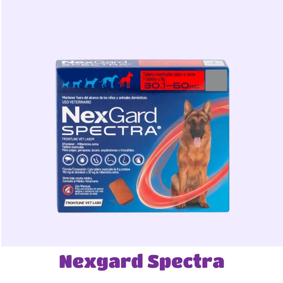 NEXGARD SPECTRA 30 A 60 KG